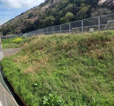 磯ノ浦駅 徒歩18分 1階の物件内観写真